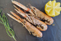Langoustines cuites
