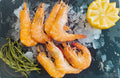 Crevettes rose cuite