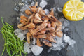 Crevettes grises cuites