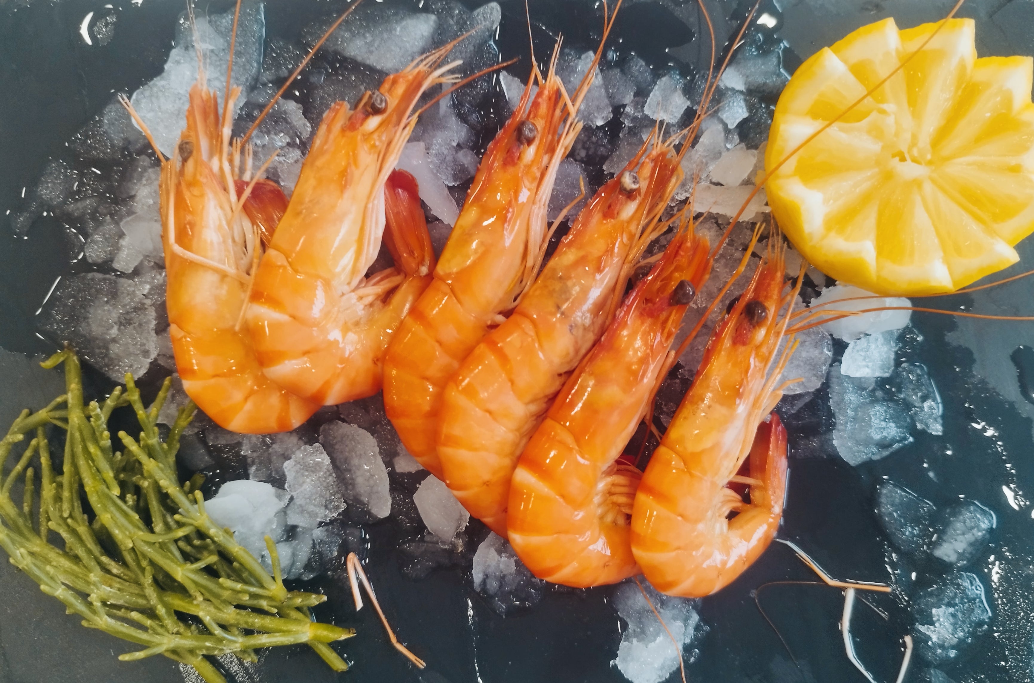 Crevettes rose de Madagascar