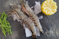 Gambas crue