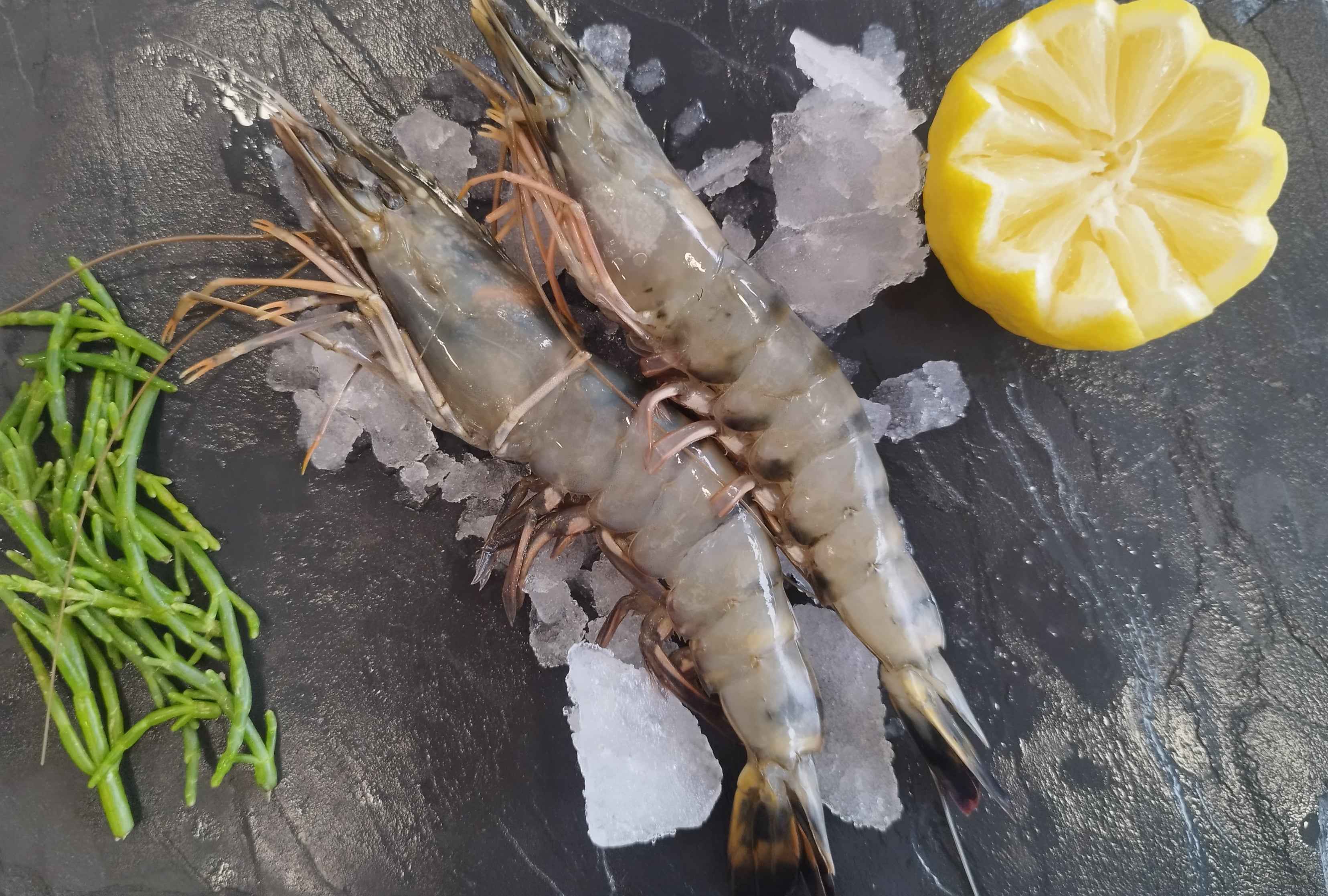 Gambas crue